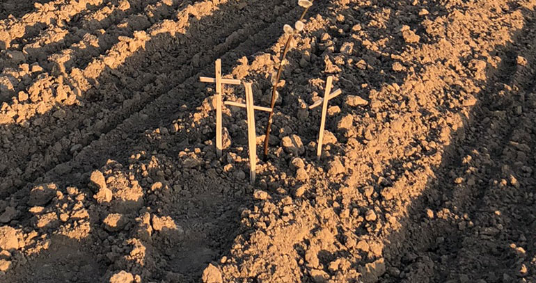 Krzyż zbity na polu