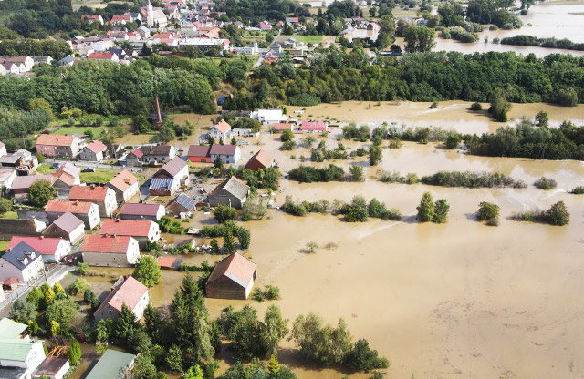 Książka