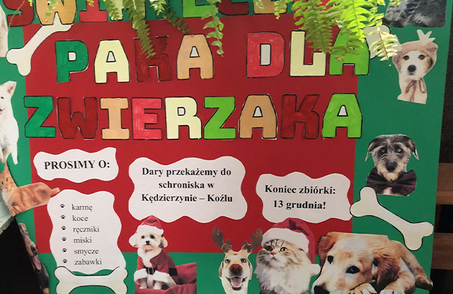 Paczka dla zwierzaka