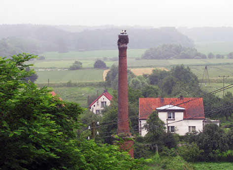 Nasze bociany