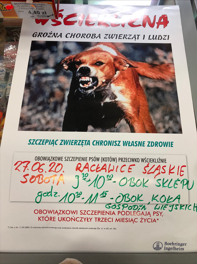 Obraz: szczepieniepsow2020.jpg Obraz: szczepieniepsow2020.jpg