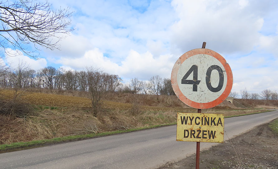 Obraz: wycinkadrzewm2021f1.jpg Obraz: wycinkadrzewm2021f1.jpg