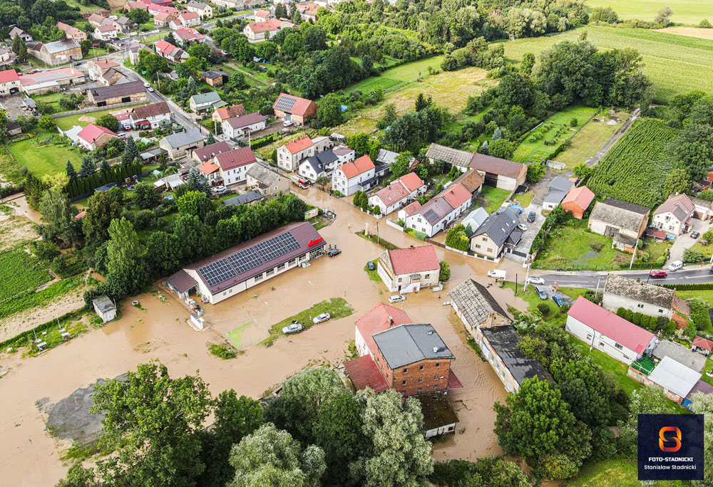 Miniaturka zdjęcia