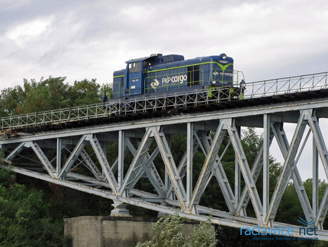 Piknik kolejowy w roku: 2009